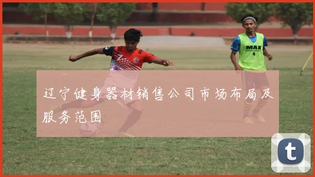 辽宁健身器材销售公司市场布局及服务范围