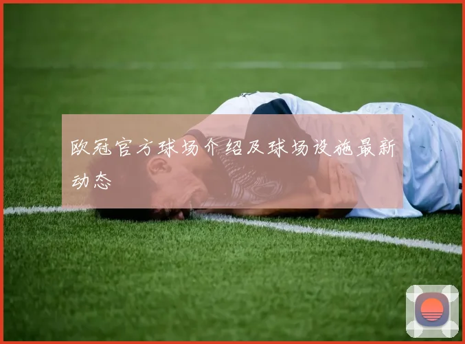 欧冠官方球场介绍及球场设施最新动态
