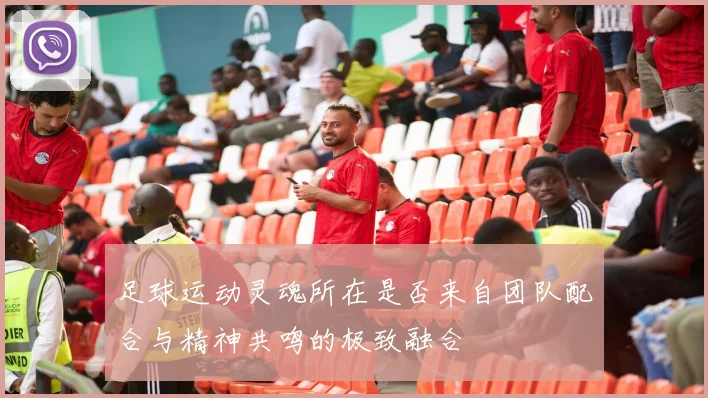 足球运动灵魂所在是否来自团队配合与精神共鸣的极致融合