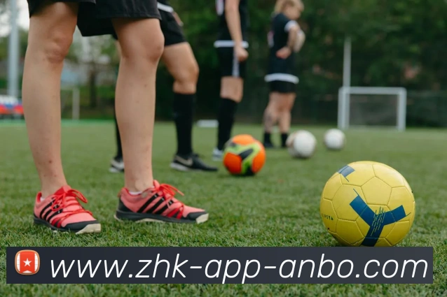 安博体育APP 封面图